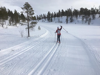 Bli med på Sørfjellrennet 2018